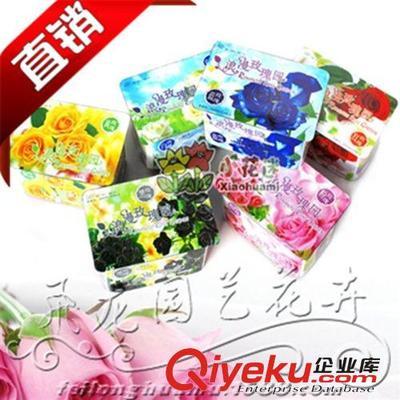 沭陽(yáng)飛龍園藝 廠家直銷新奇特禮品盆栽——浪漫黑玫瑰園